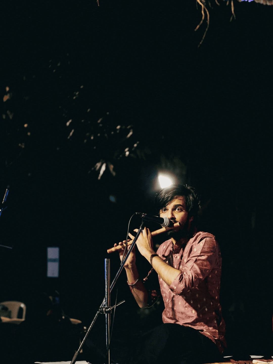 Sangit Mahabharati IMG (18)